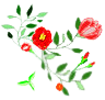 �T���v���摜